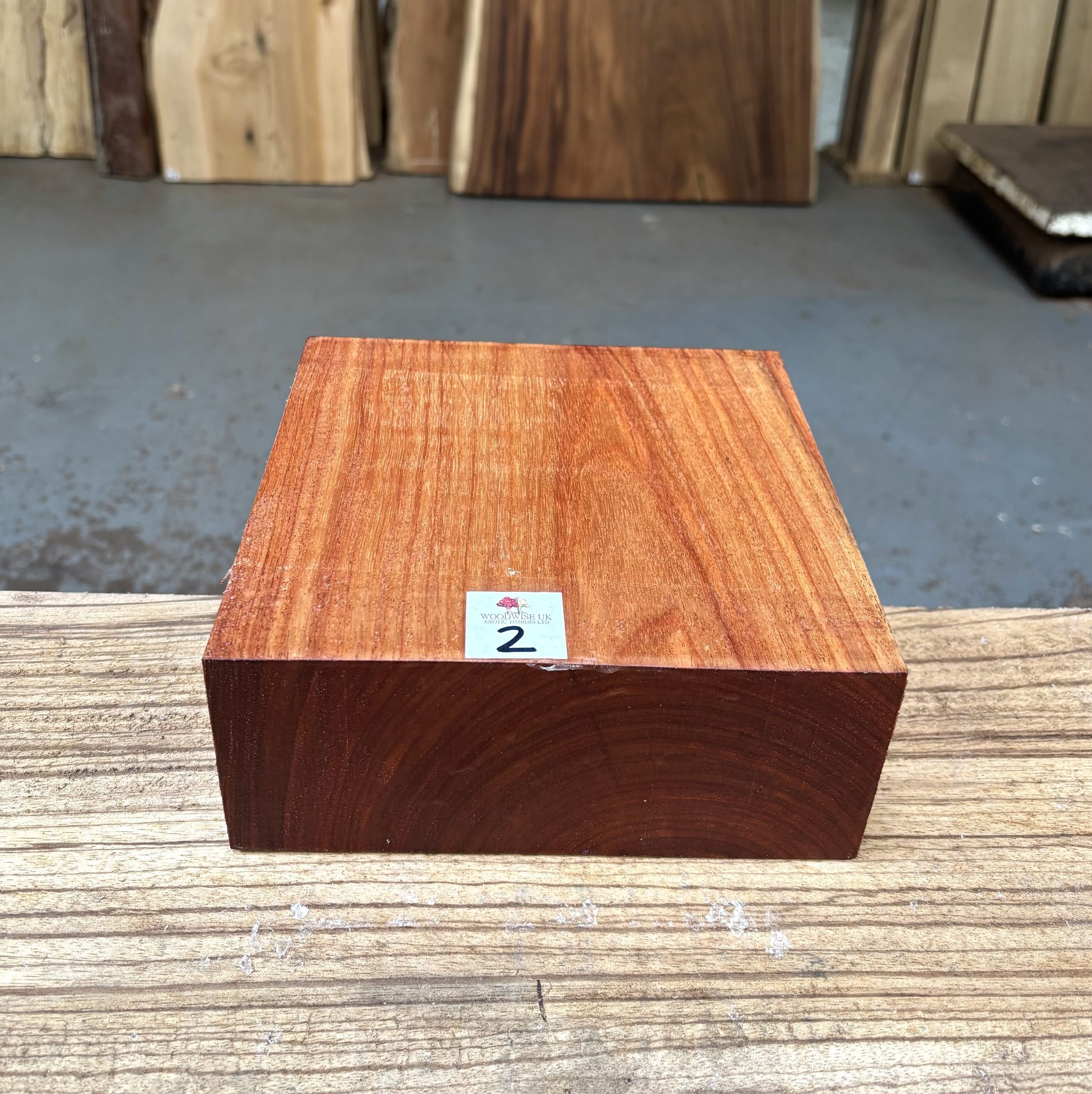 Macacauba 8x8x3 Inches