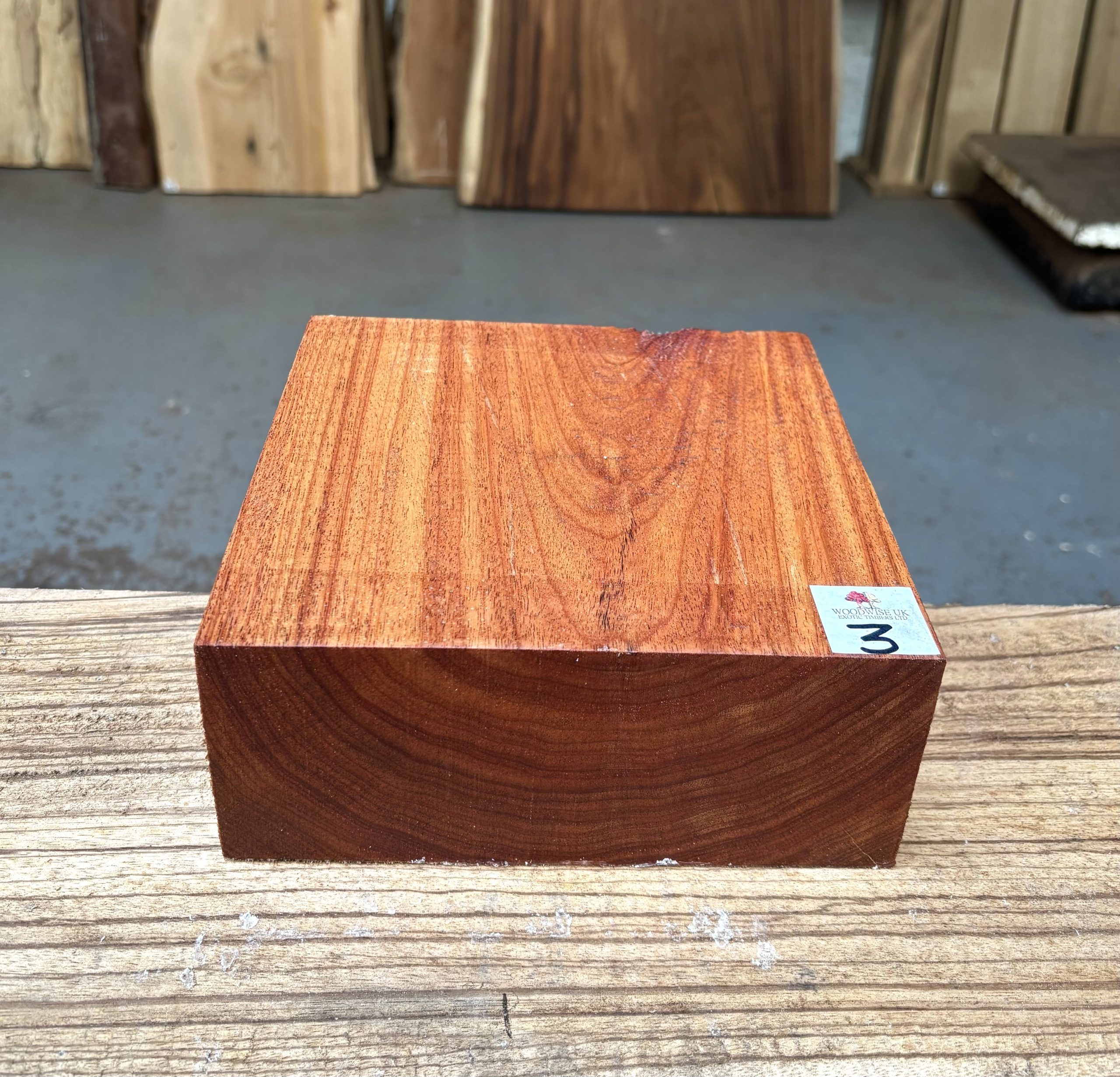 Macacauba 8x8x3 Inches