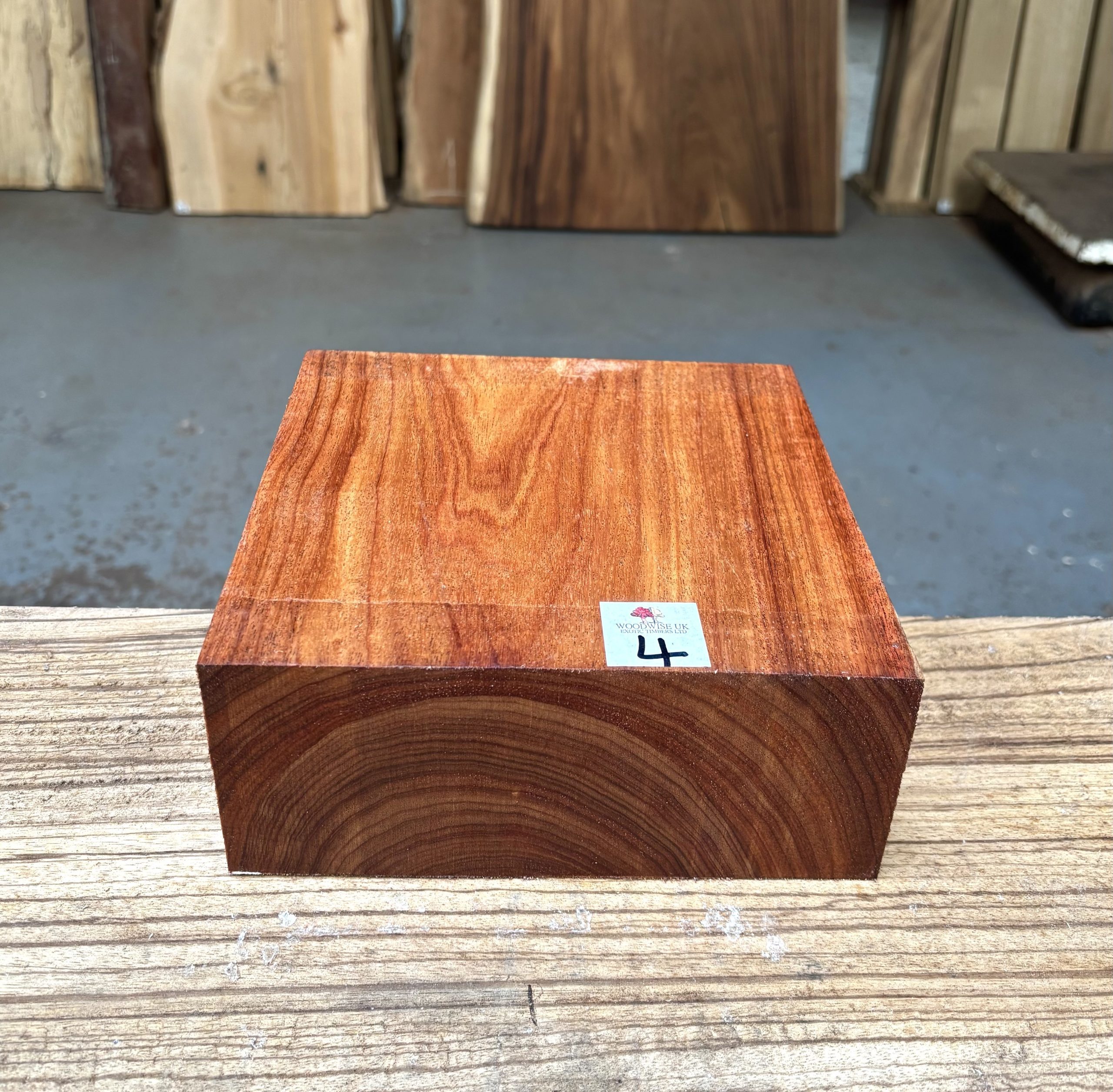 Macacauba 8x8x3 Inches