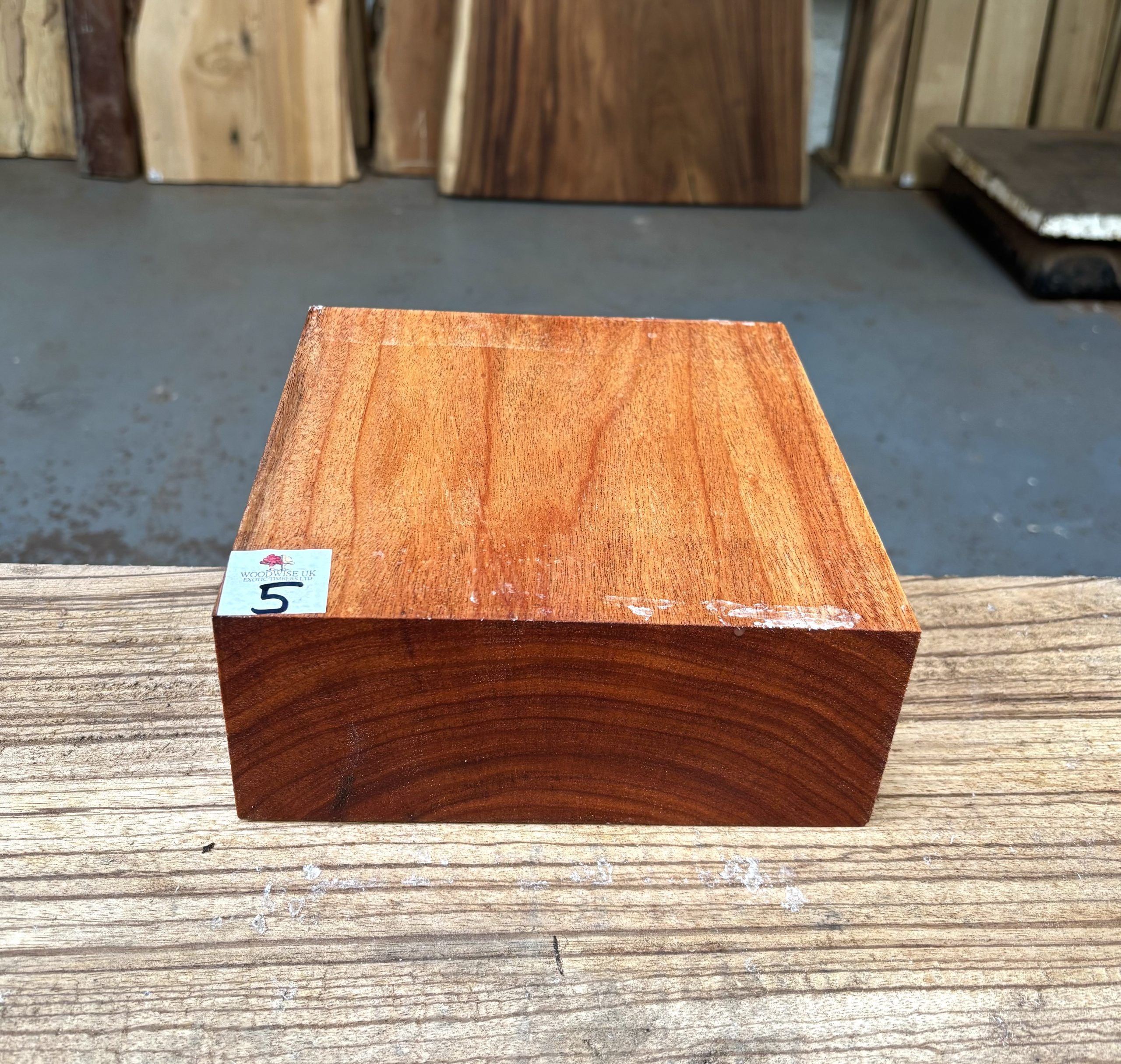 Macacauba 8x8x3 Inches