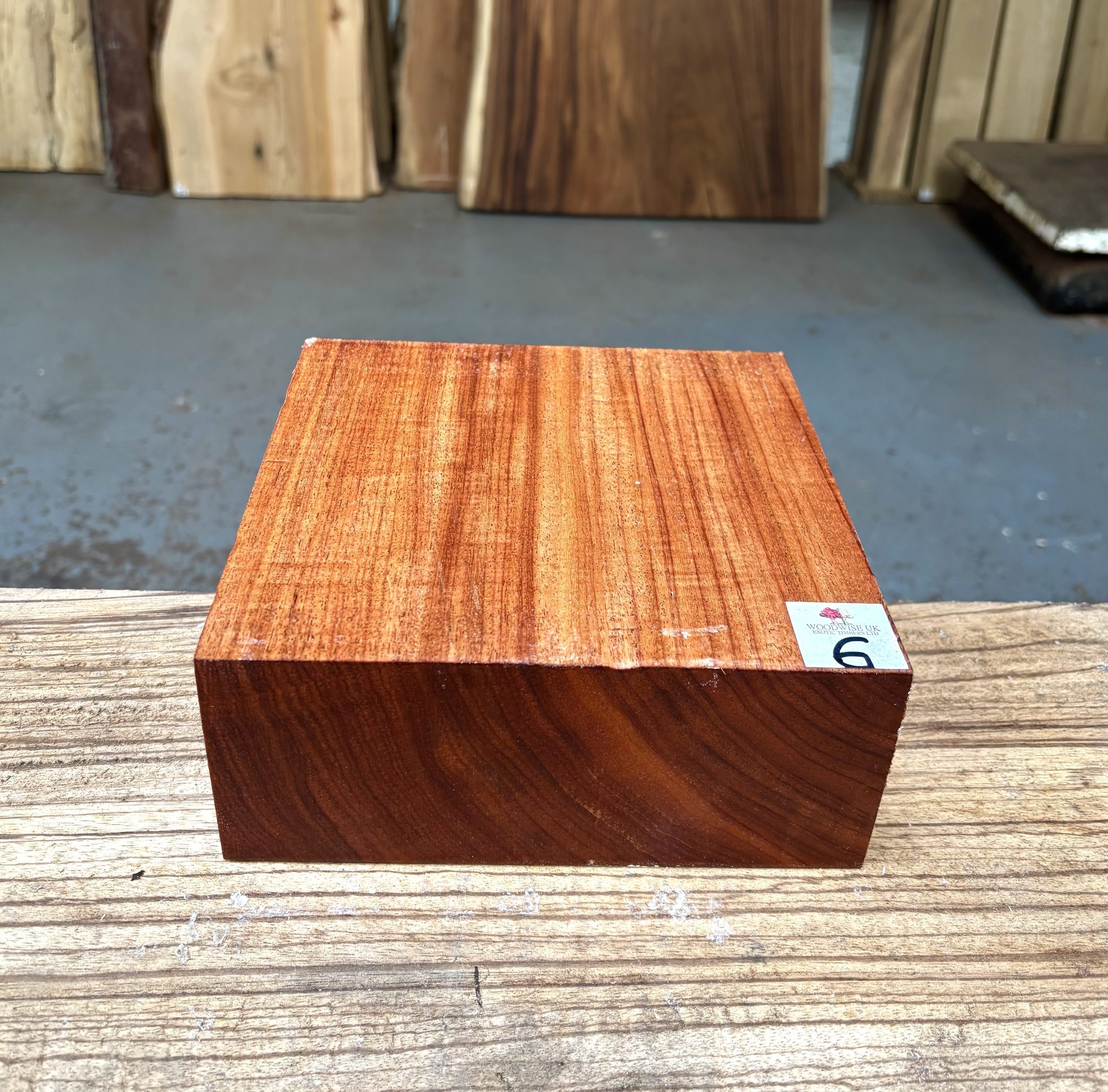 Macacauba 8x8x3 Inches