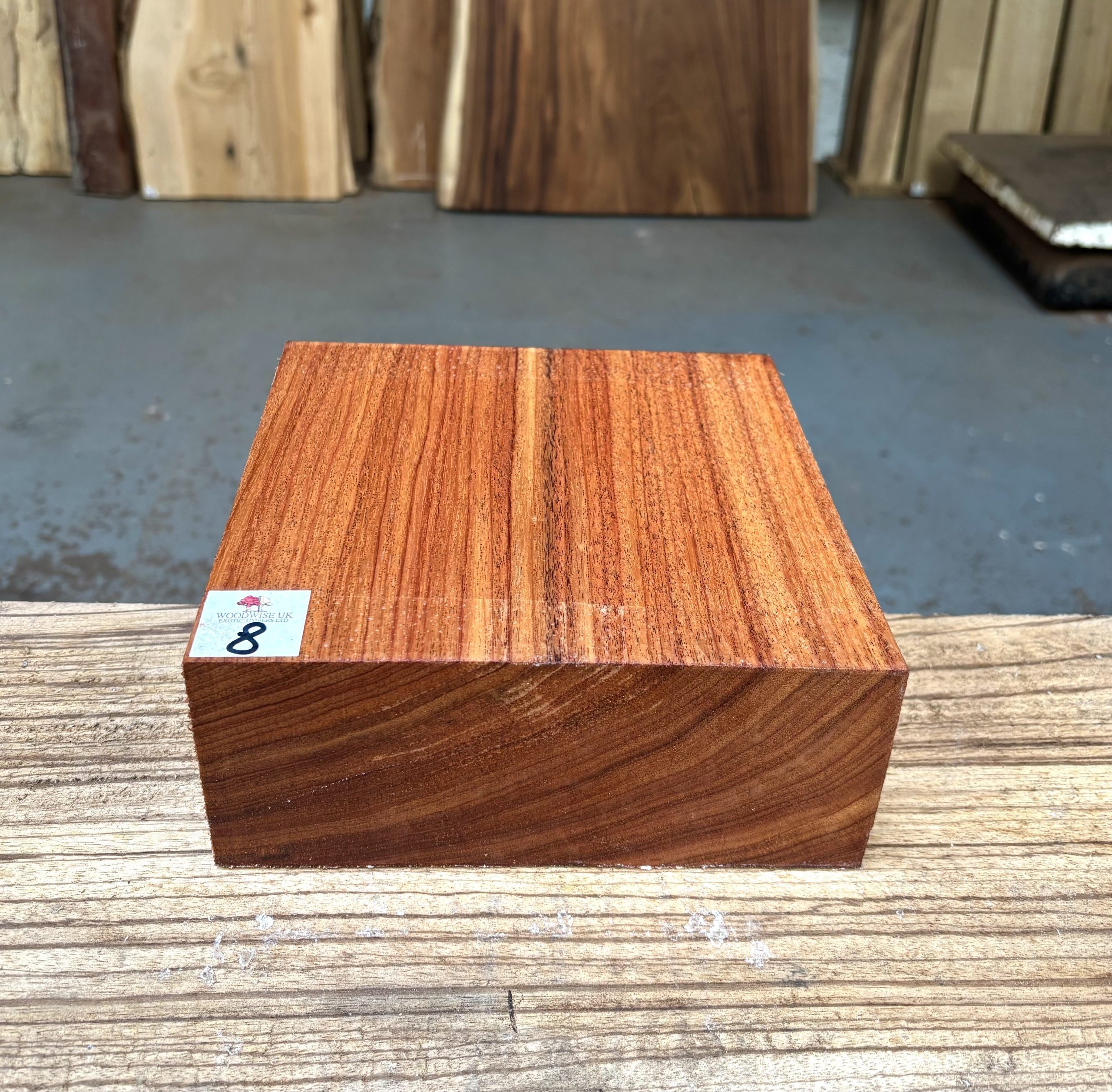 Macacauba 8x8x3 Inches
