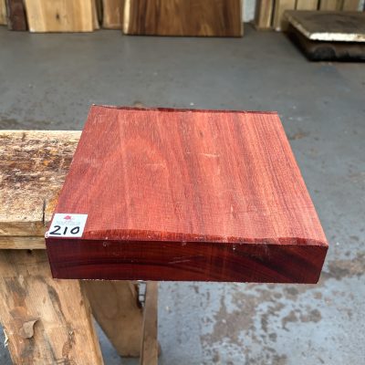 Bloodwood 10x10x2 Inches