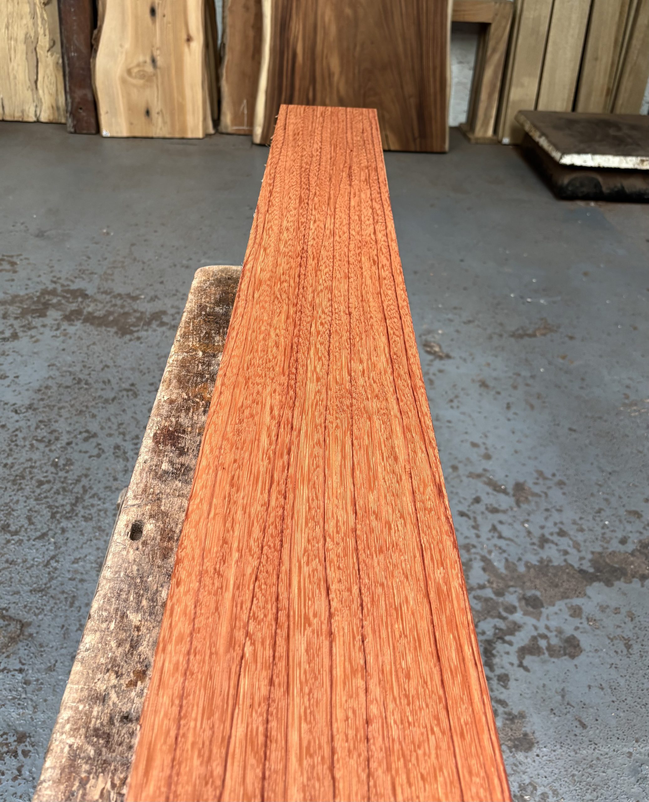 Ebiara 1375x180x50 mm