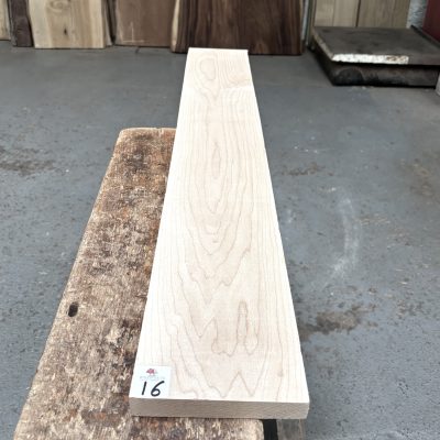 Maple 1005x145x23 mm