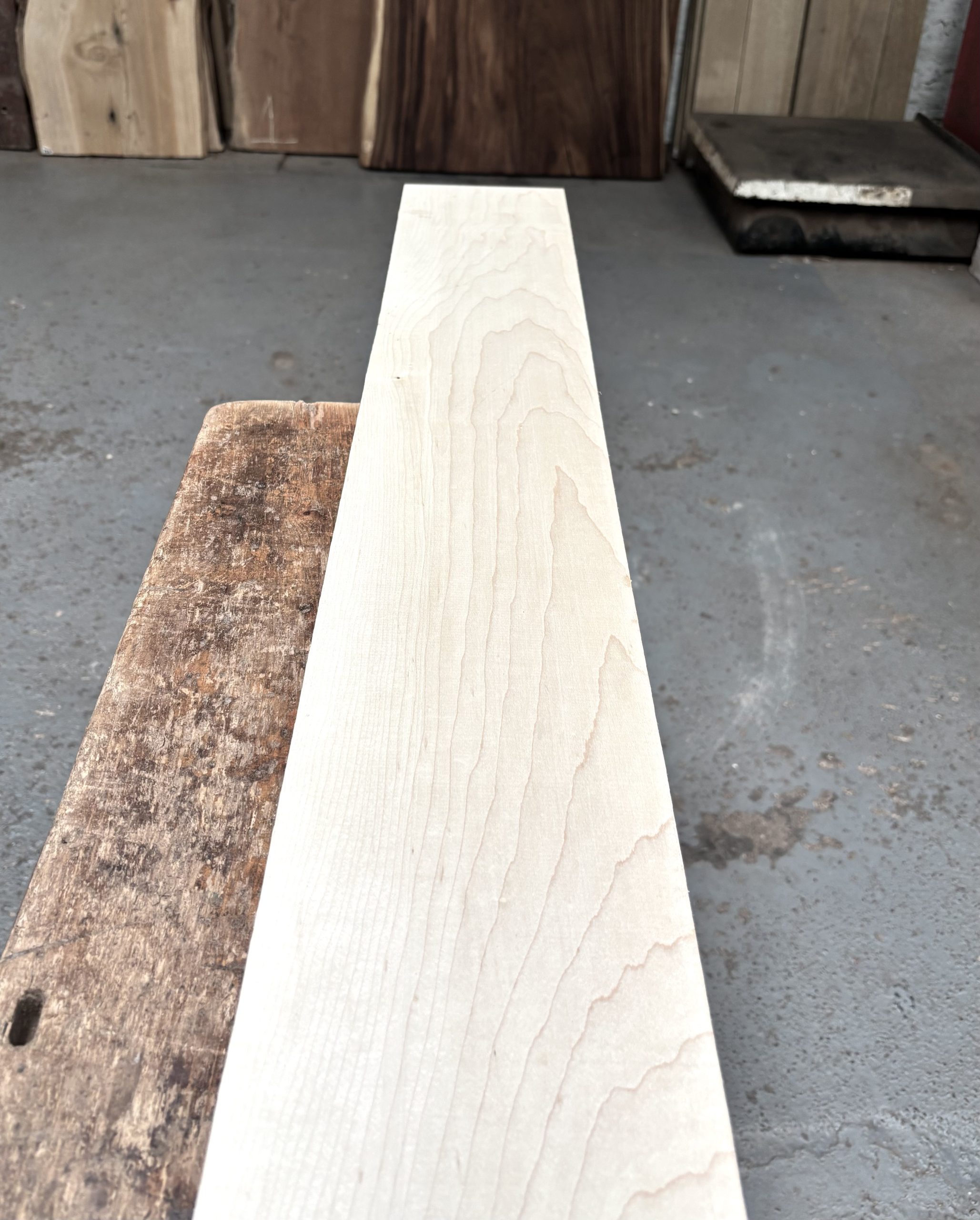 Maple 1000x155x24 mm