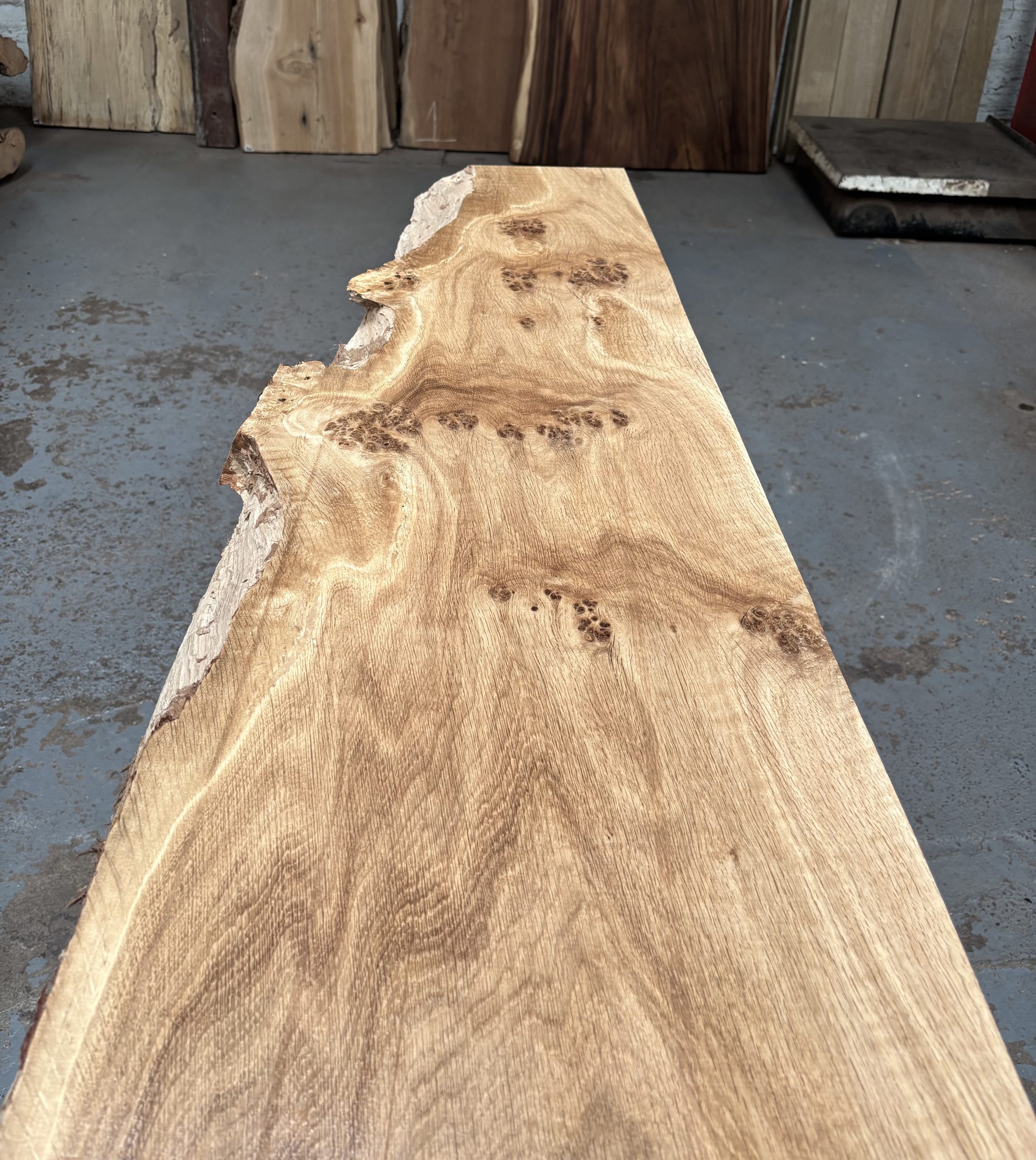 English Oak 1440x300-440x48 mm