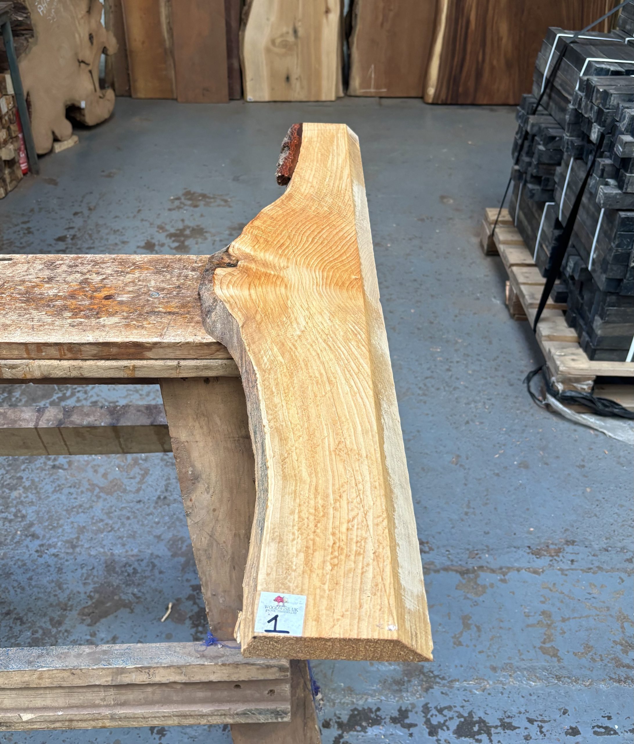 Cedar of Lebanon 1045x130-200x23 mm