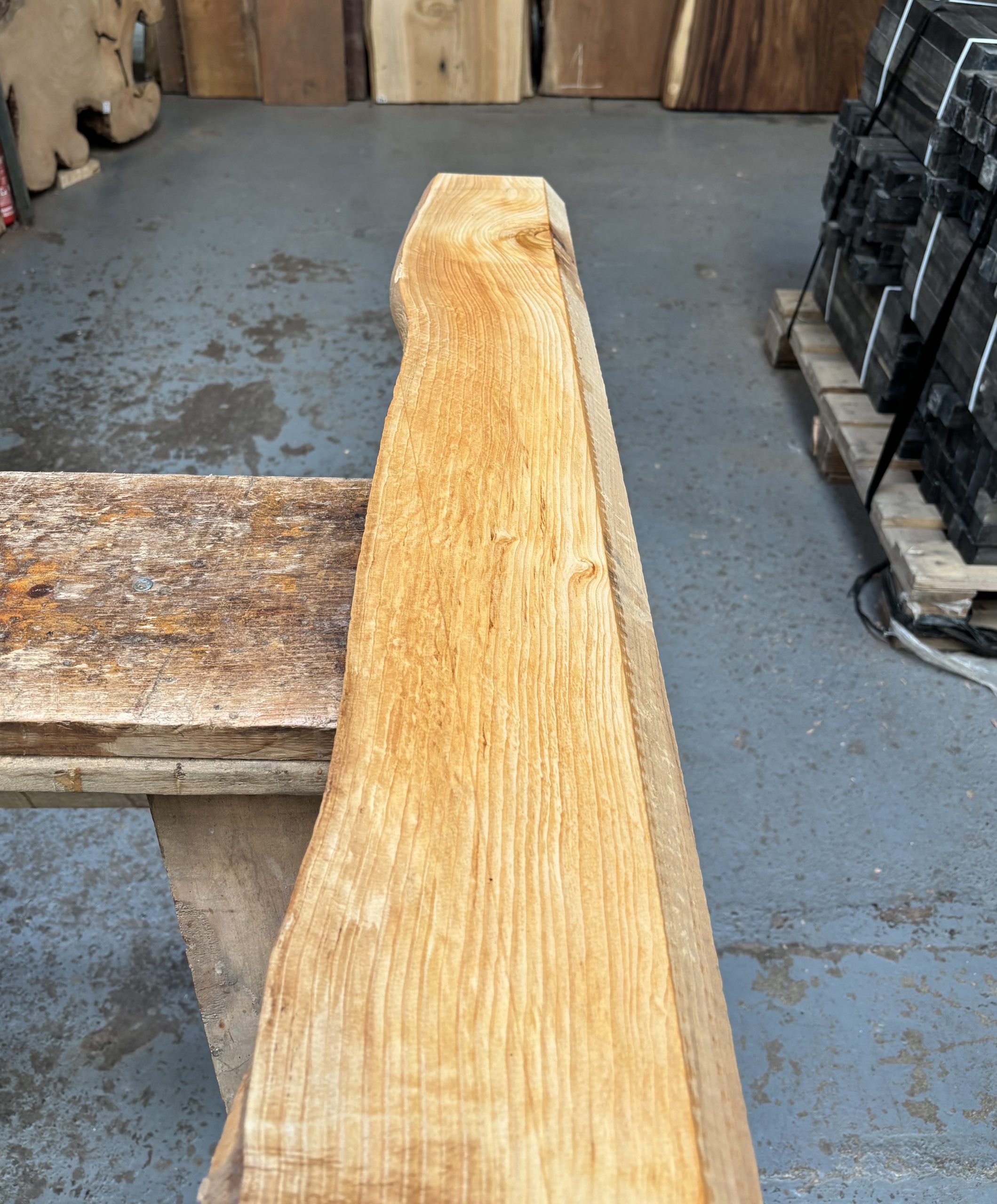 Cedar of Lebanon 1010x140-160x26 mm