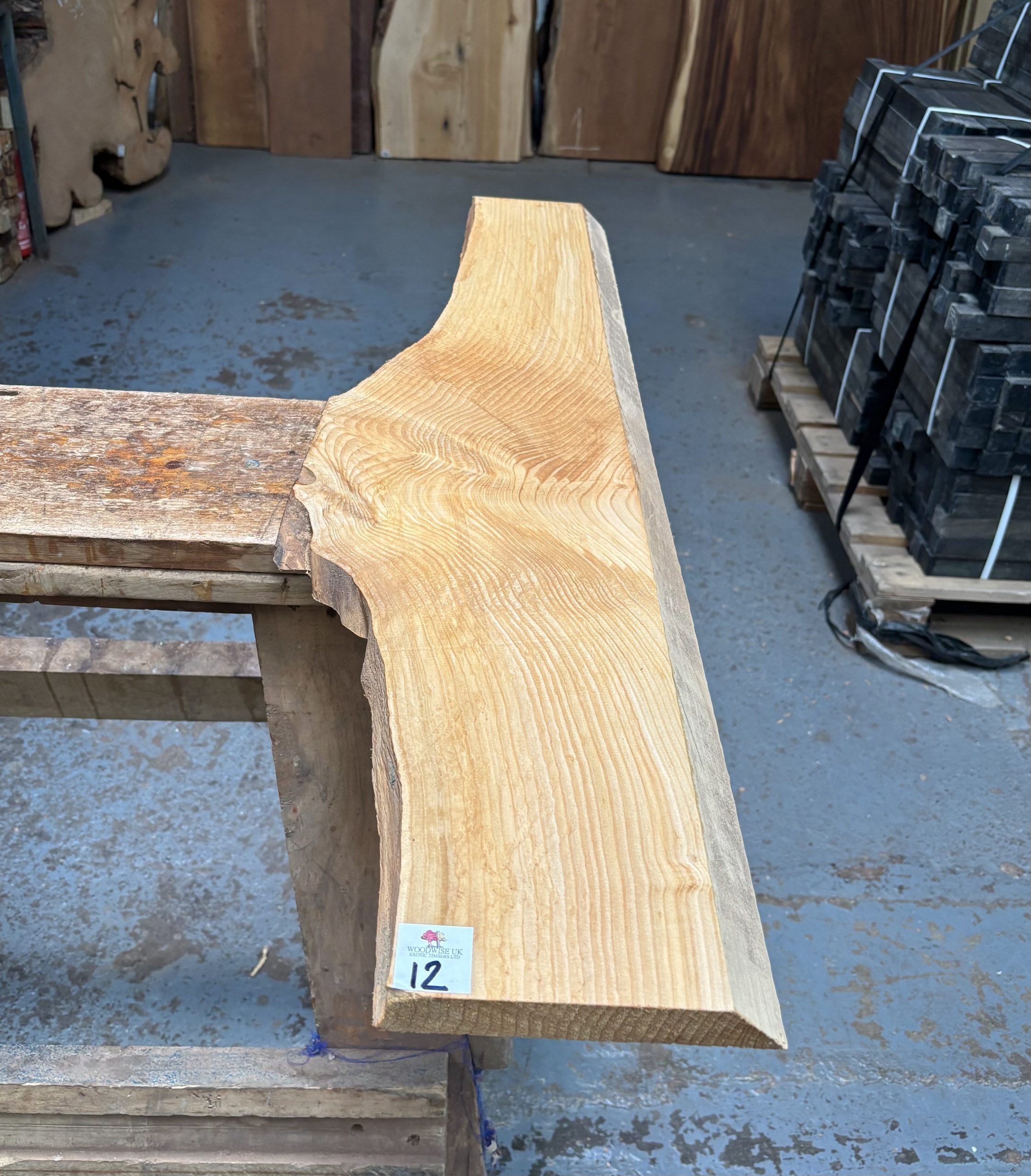 Cedar of Lebanon 970x150-250x23 mm