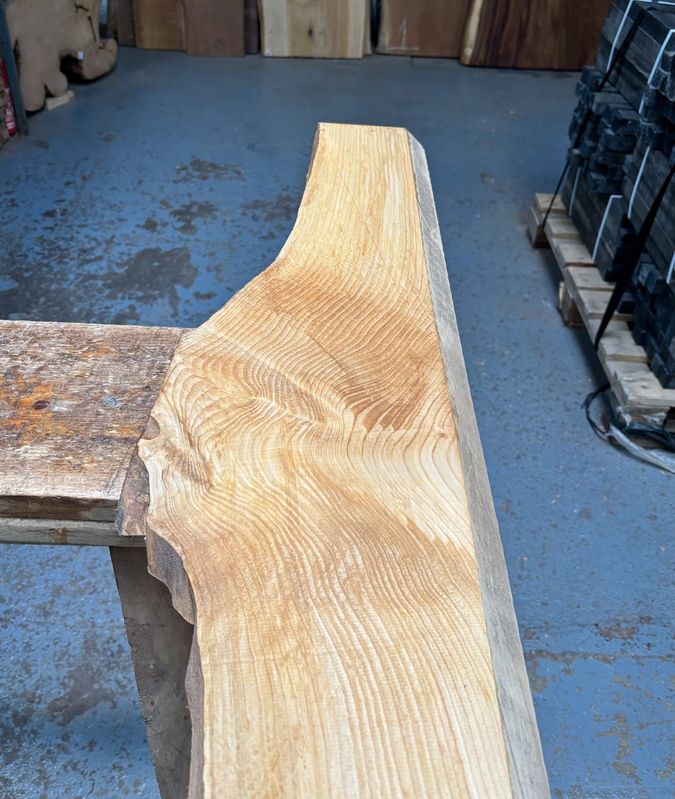 Cedar of Lebanon 970x150-250x23 mm