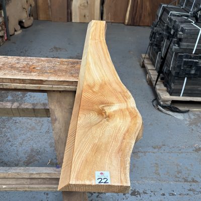 Cedar of Lebanon 1270x110-190x26 mm