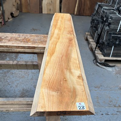 Cedar of Lebanon 1275x200-220x26 mm