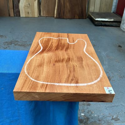 Khaya Mahogany Guitar Body Blank (1 Piece) 530x355x48 mm