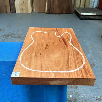 Khaya Mahogany Guitar Body Blank (1 Piece) 530x360x48 mm