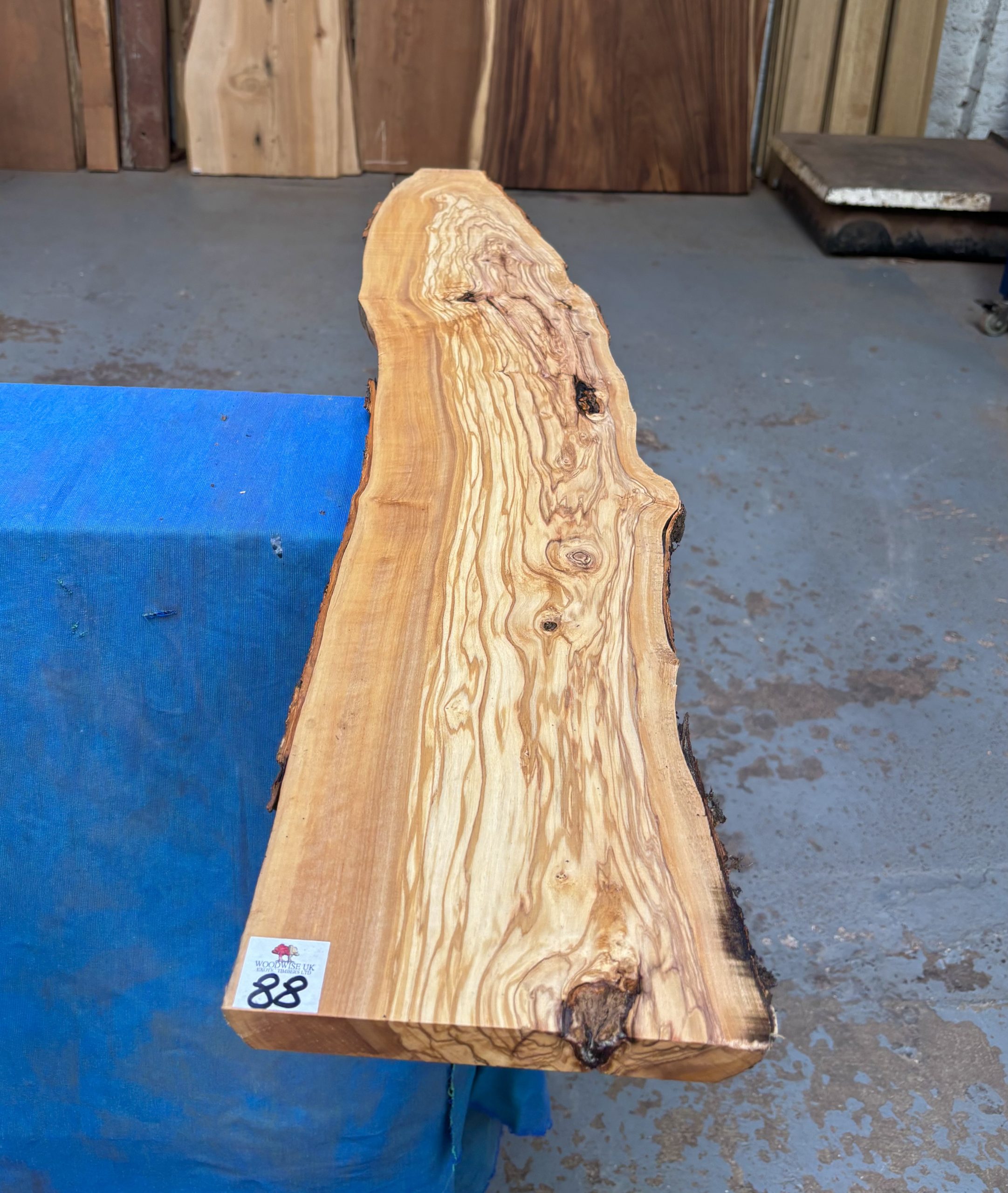 Mediterranean Olivewood Board 1125x160-200x20 mm