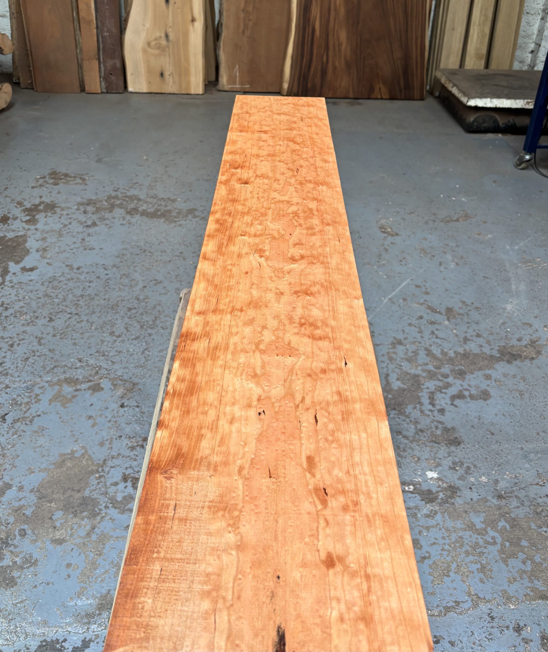 American Cherry 1450x215x26 mm