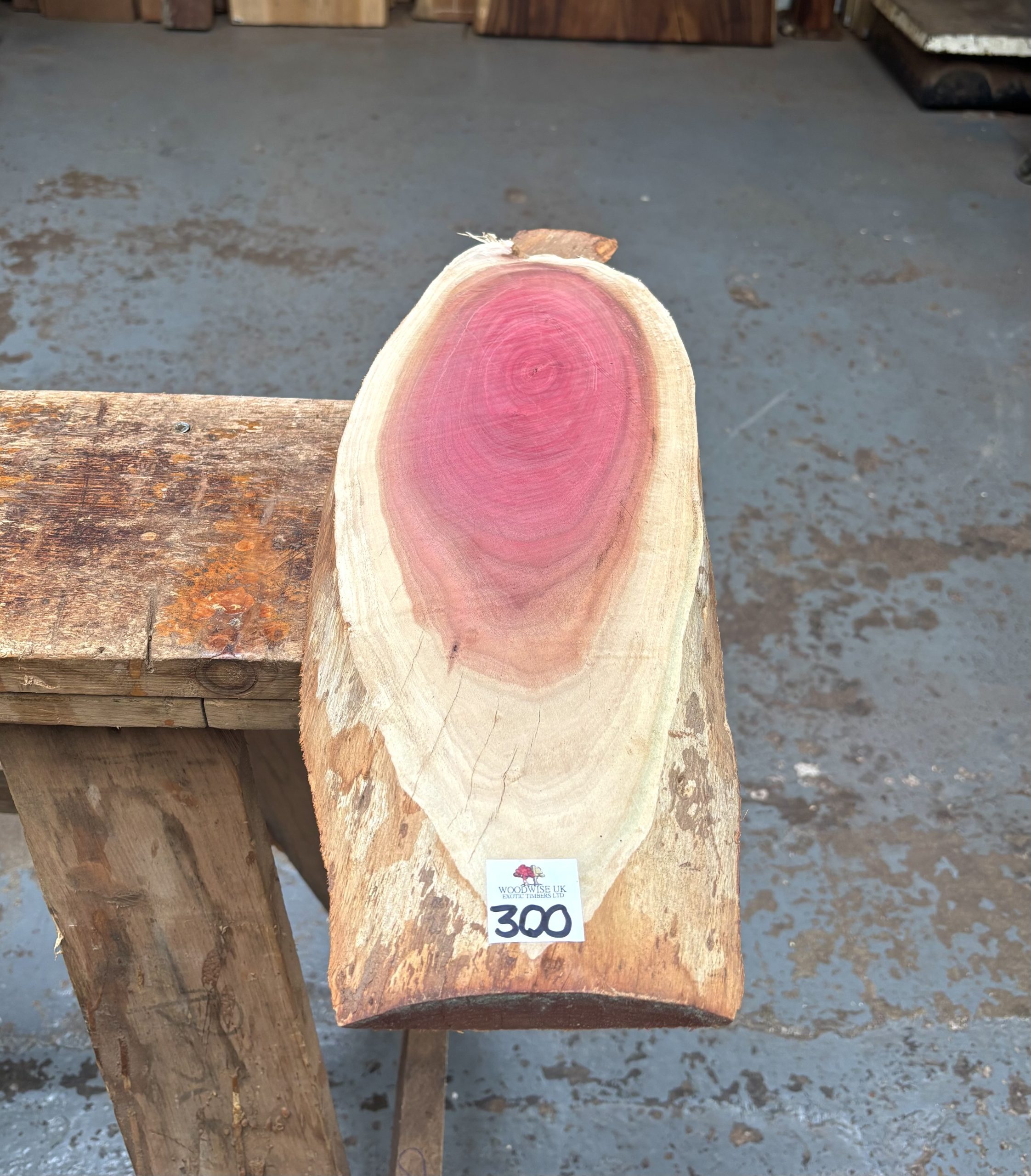 Pink Ivory 540x150-170x20 mm
