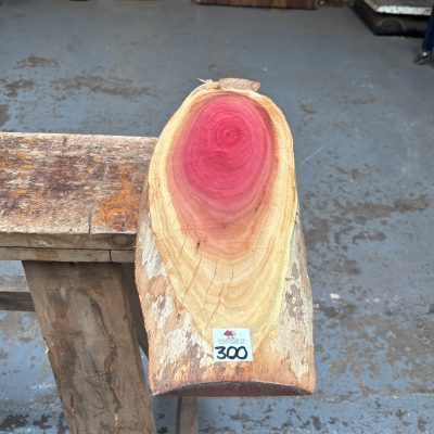 Pink Ivory 540x150-170x20 mm