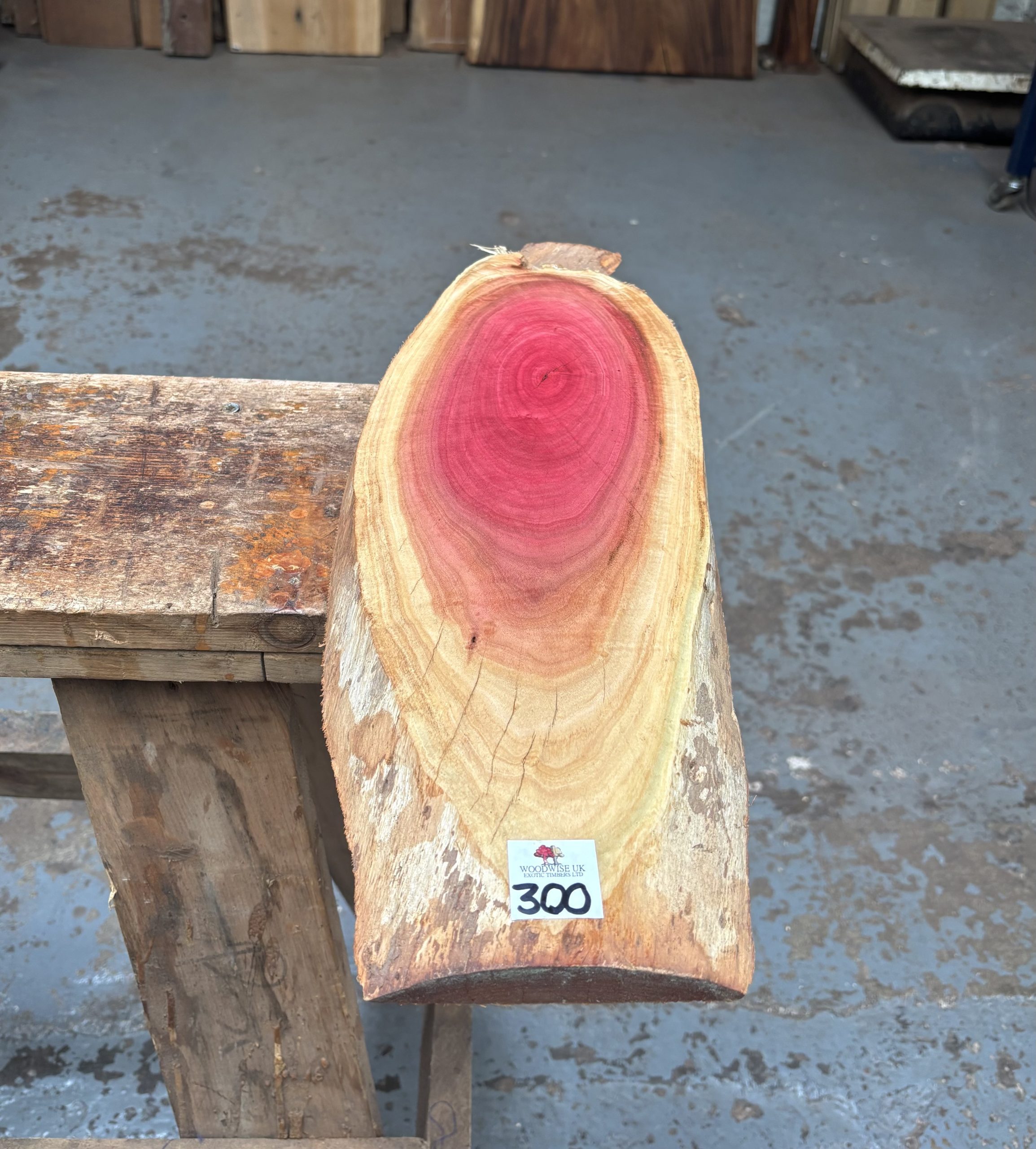 Pink Ivory 540x150-170x20 mm