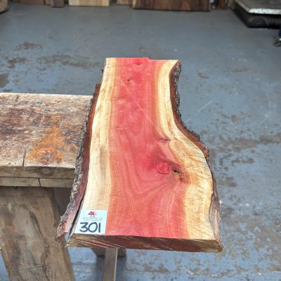 Pink Ivory 445x150-180x22 mm