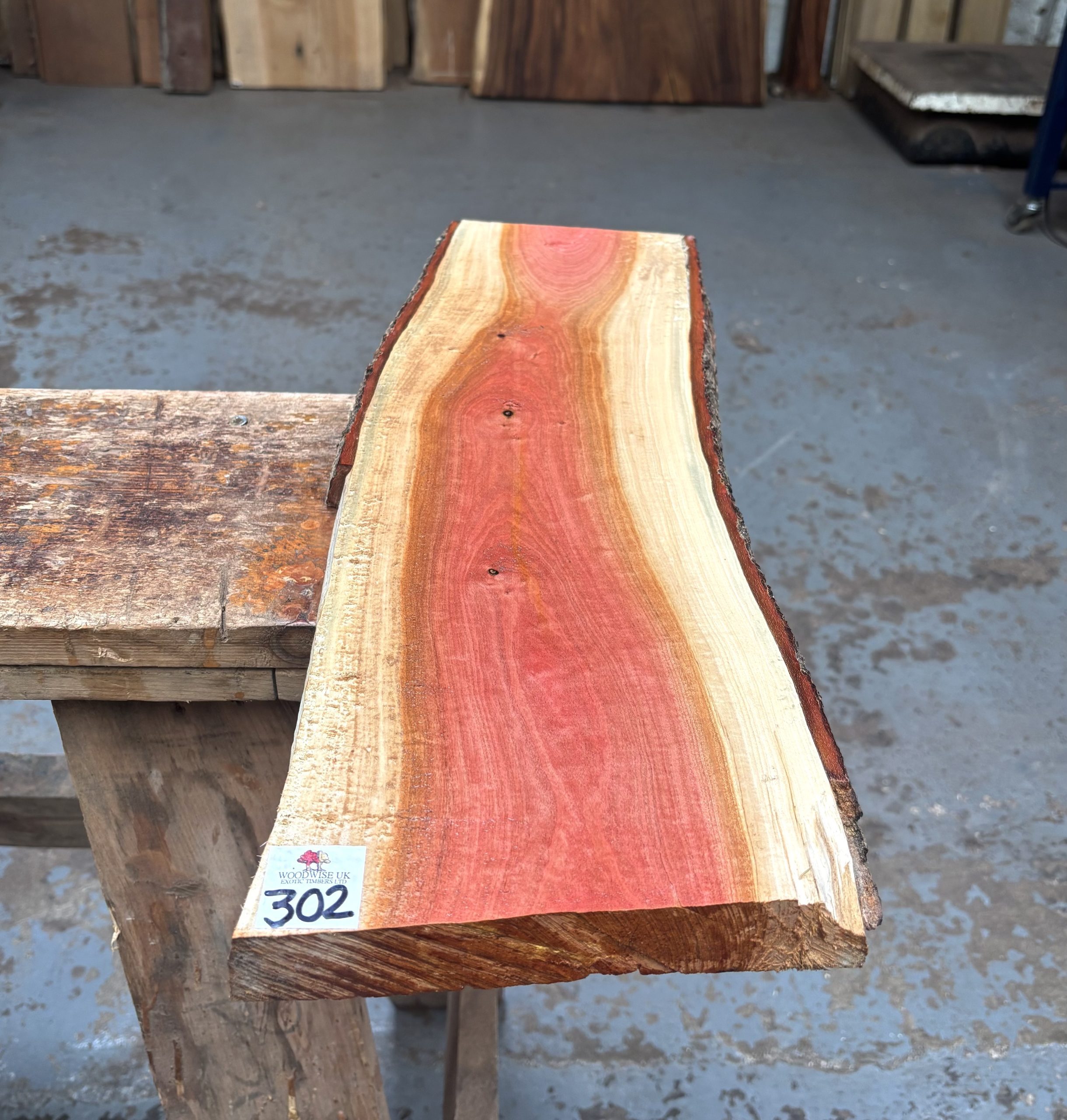 Pink Ivory 550x170-190x27 mm