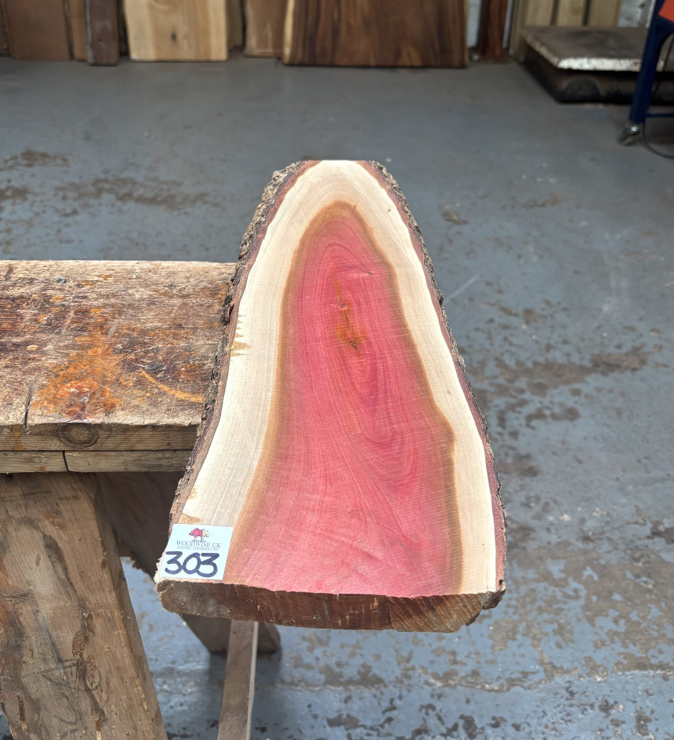 Pink Ivory 500x140-160x24 mm