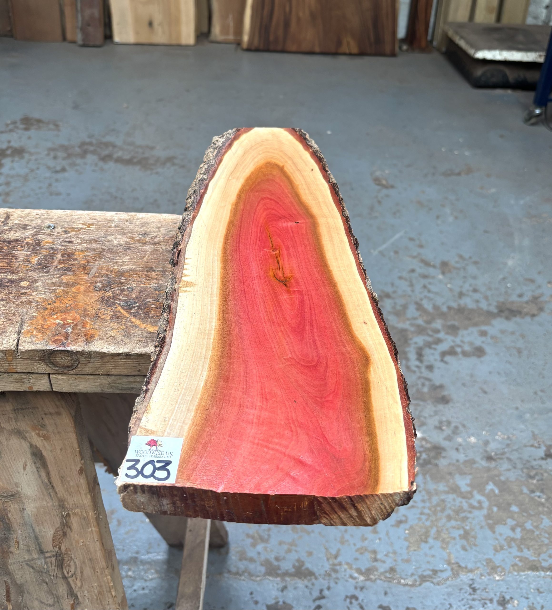 Pink Ivory 500x140-160x24 mm