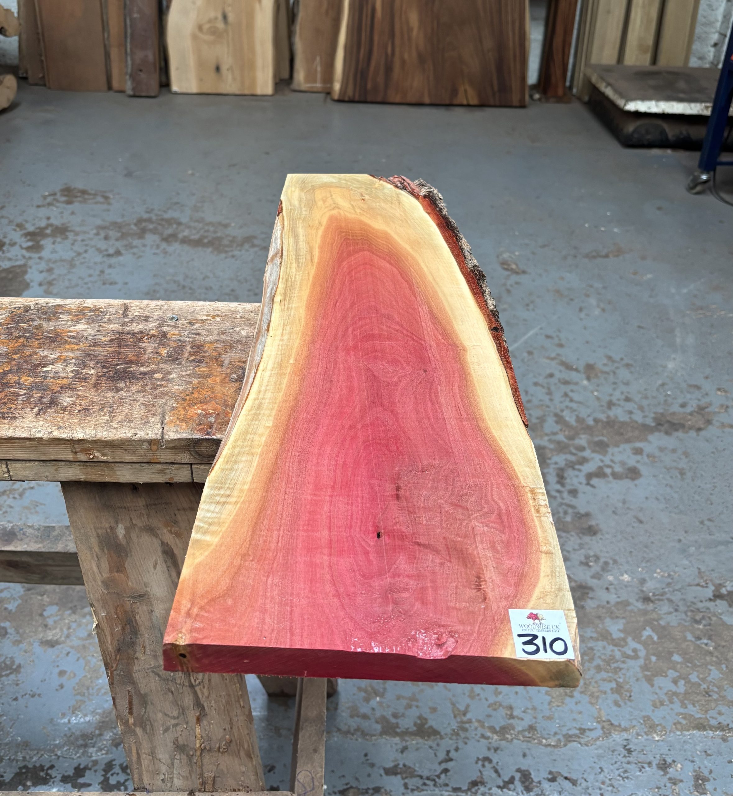 Pink Ivory 665x190-220x22 mm