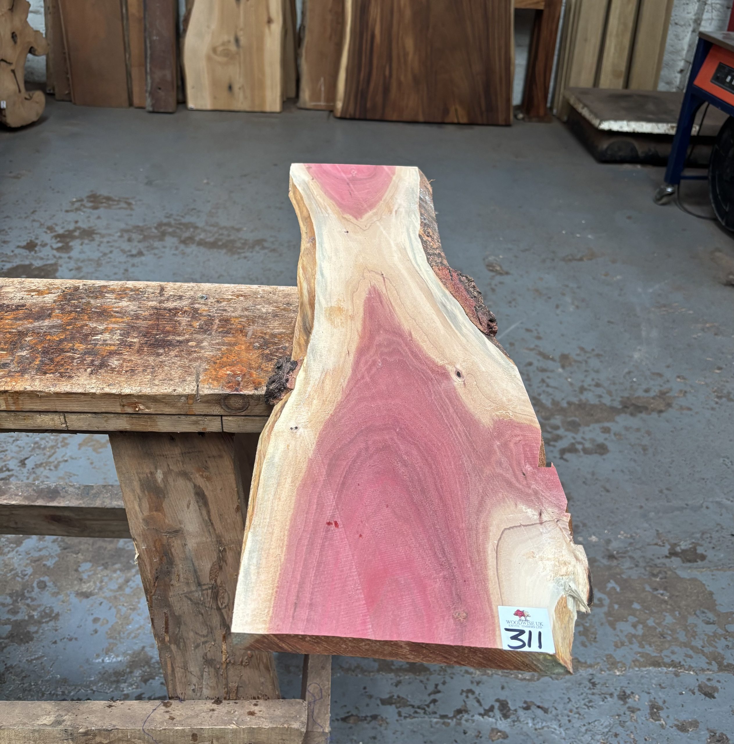 Pink Ivory 805x170-220x15 mm