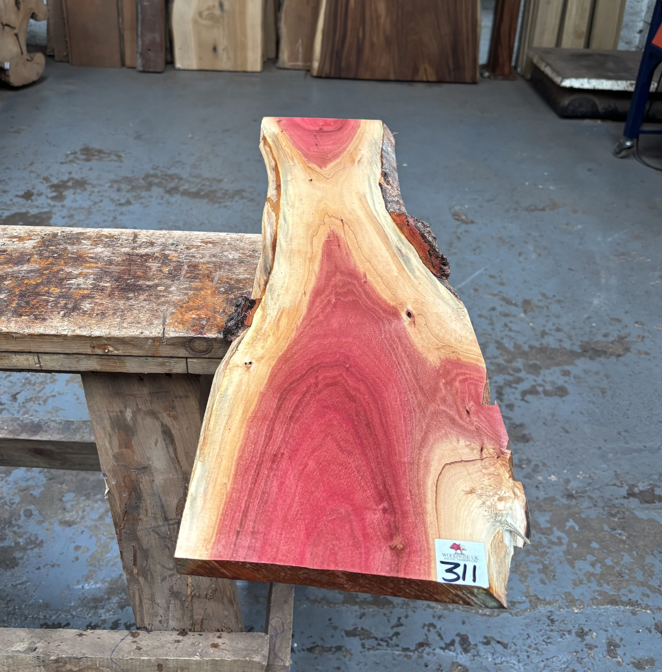 Pink Ivory 805x170-220x15 mm