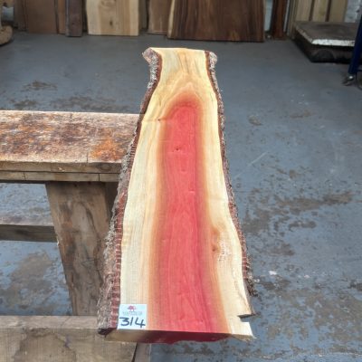 Pink Ivory 915x175x24 mm