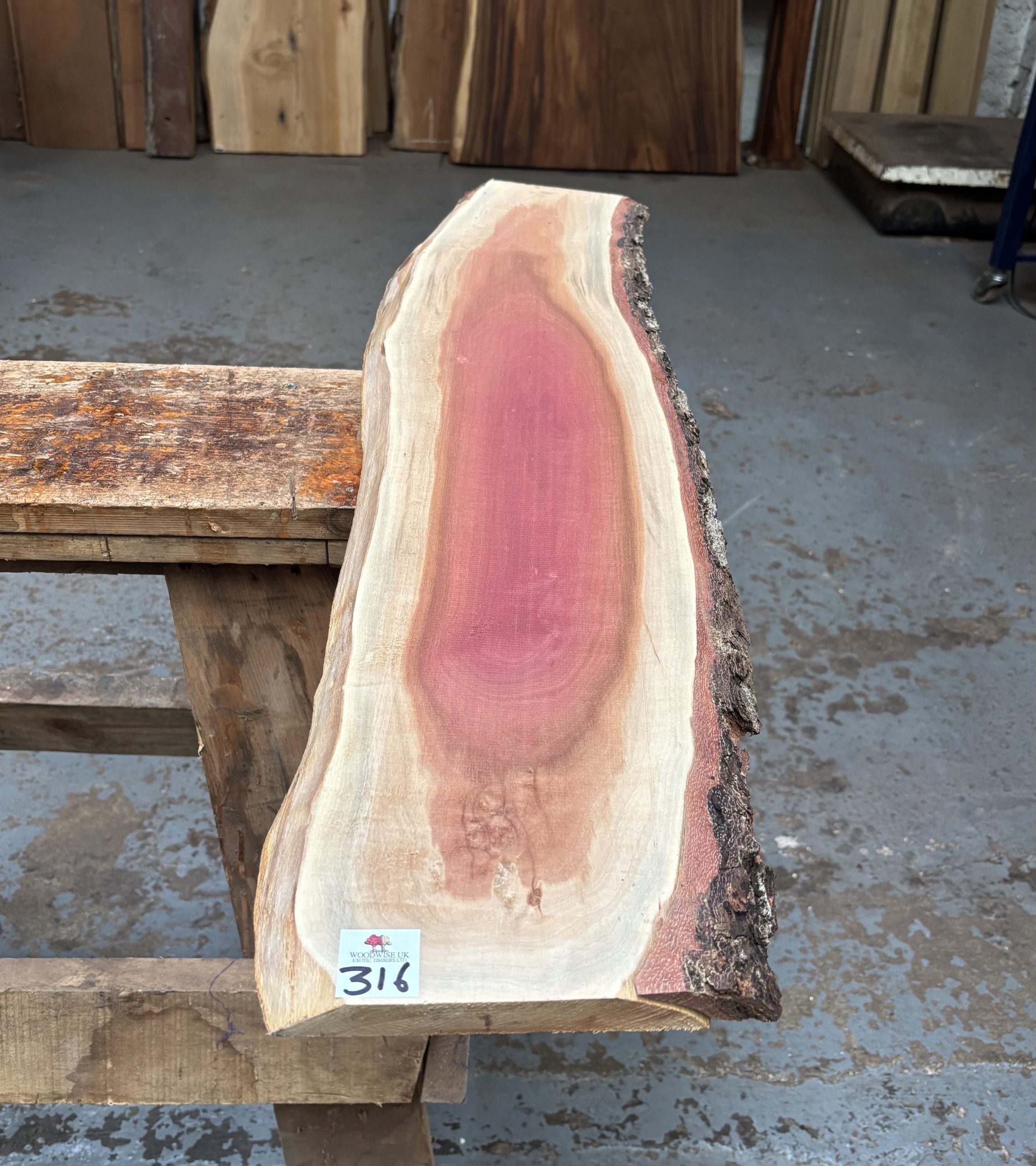 Pink Ivory 1000x190-230x18 mm