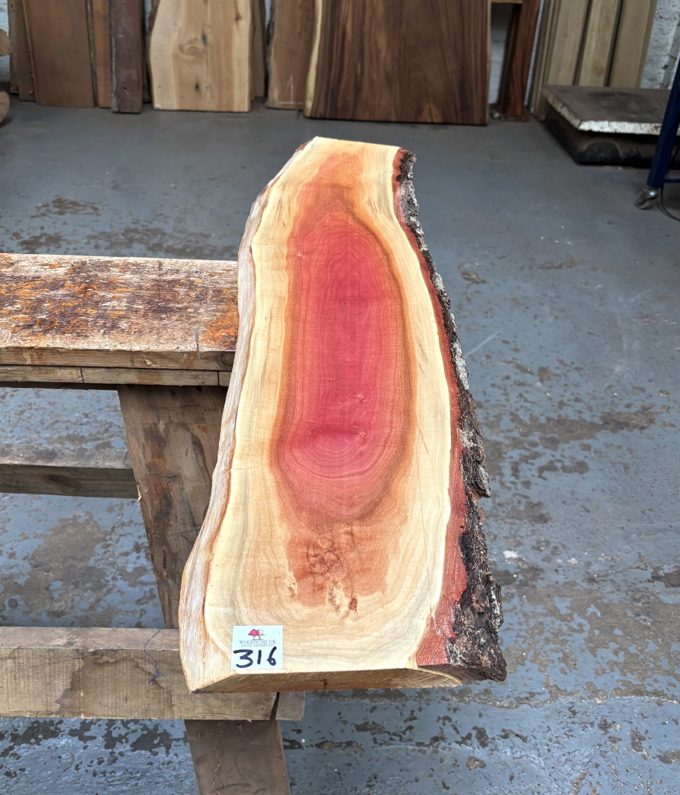 Pink Ivory 1000x190-230x18 mm