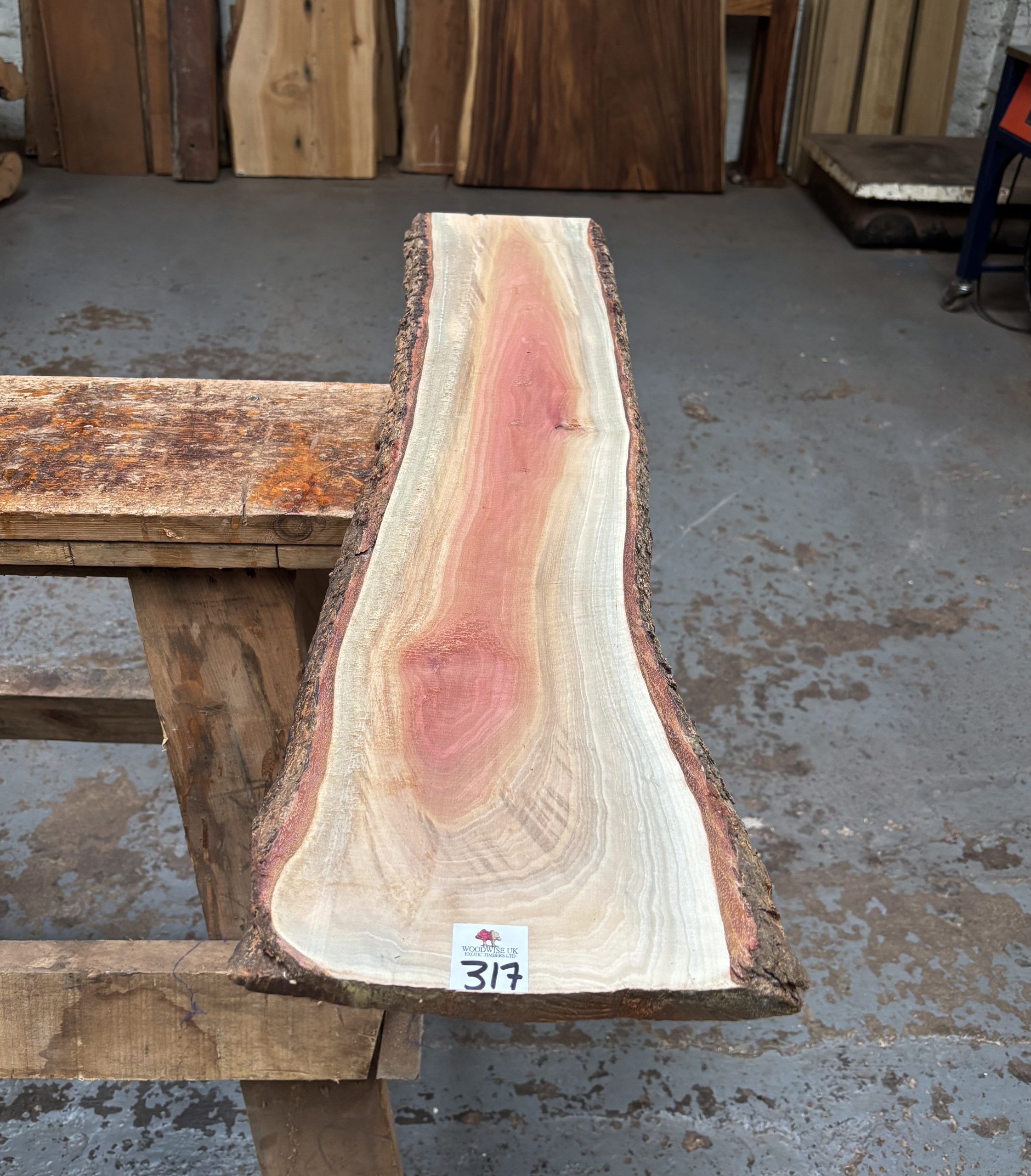 Pink Ivory 900x180-210x24 mm