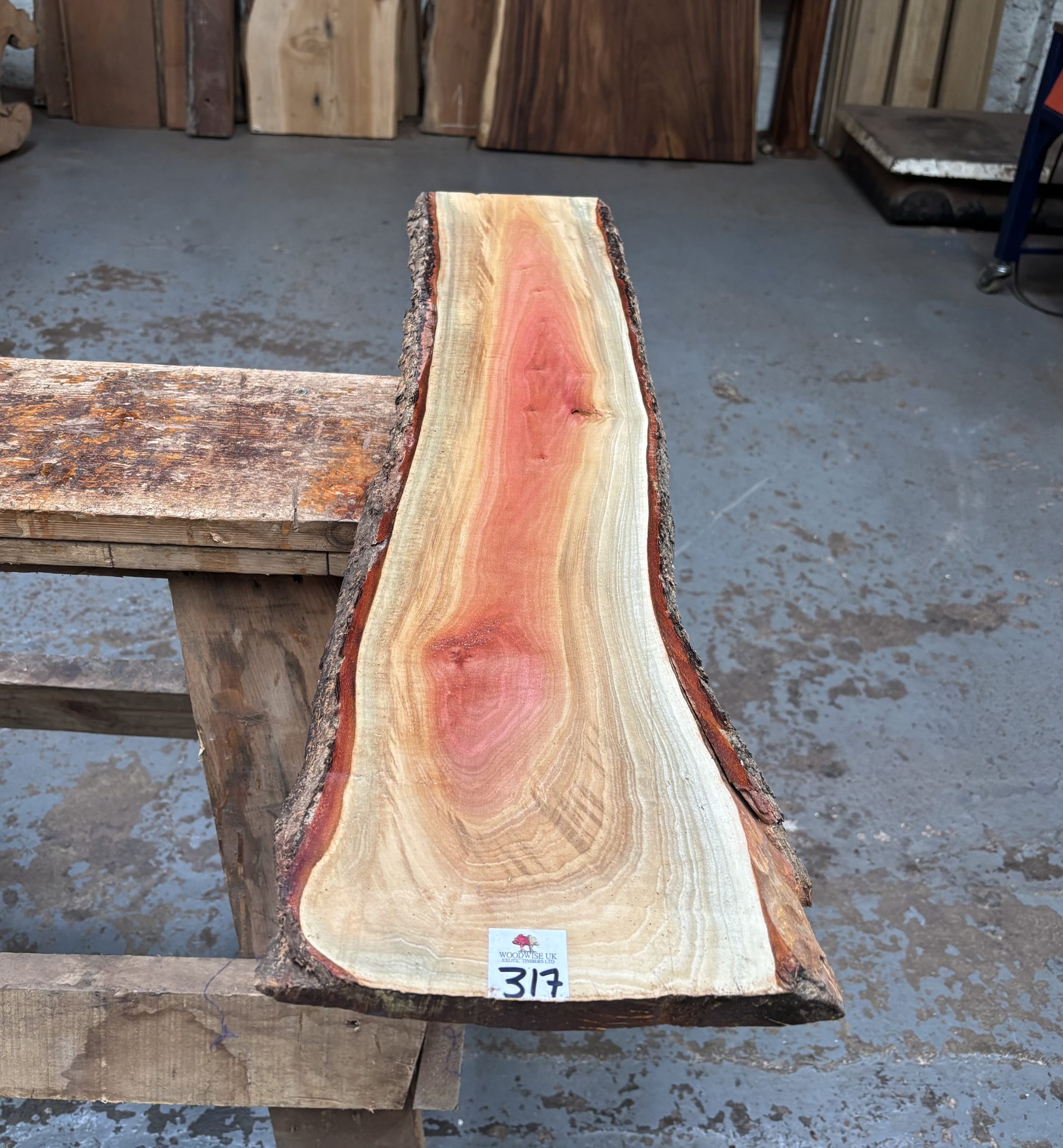 Pink Ivory 900x180-210x24 mm