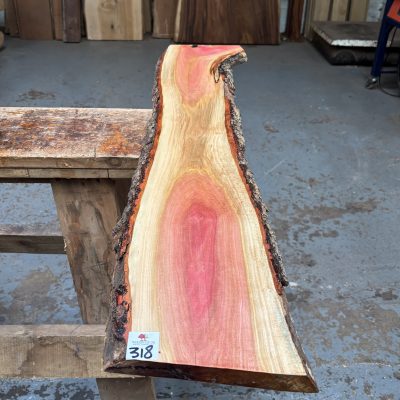Pink Ivory 950x170-200x24 mm