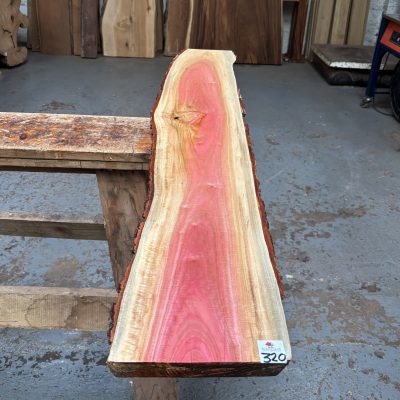 Pink Ivory 1365x200-240x21 mm