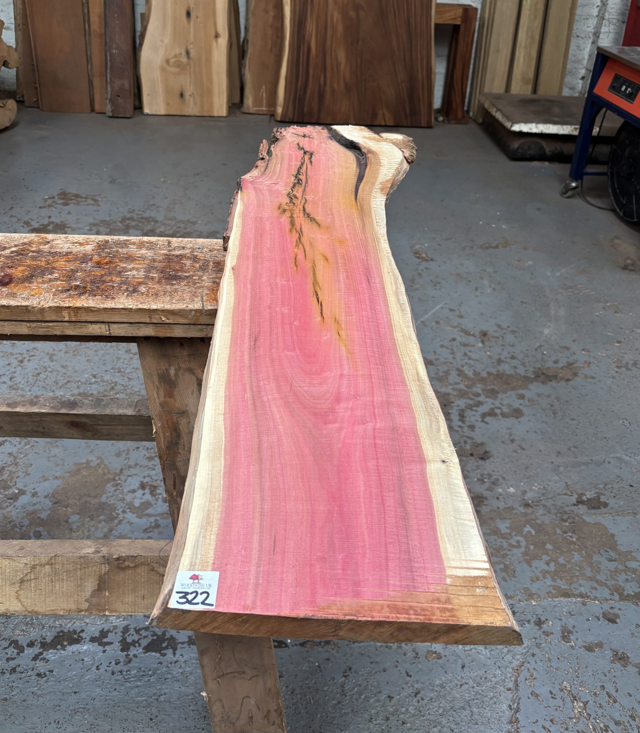 Pink Ivory 1200x230-280x22 mm