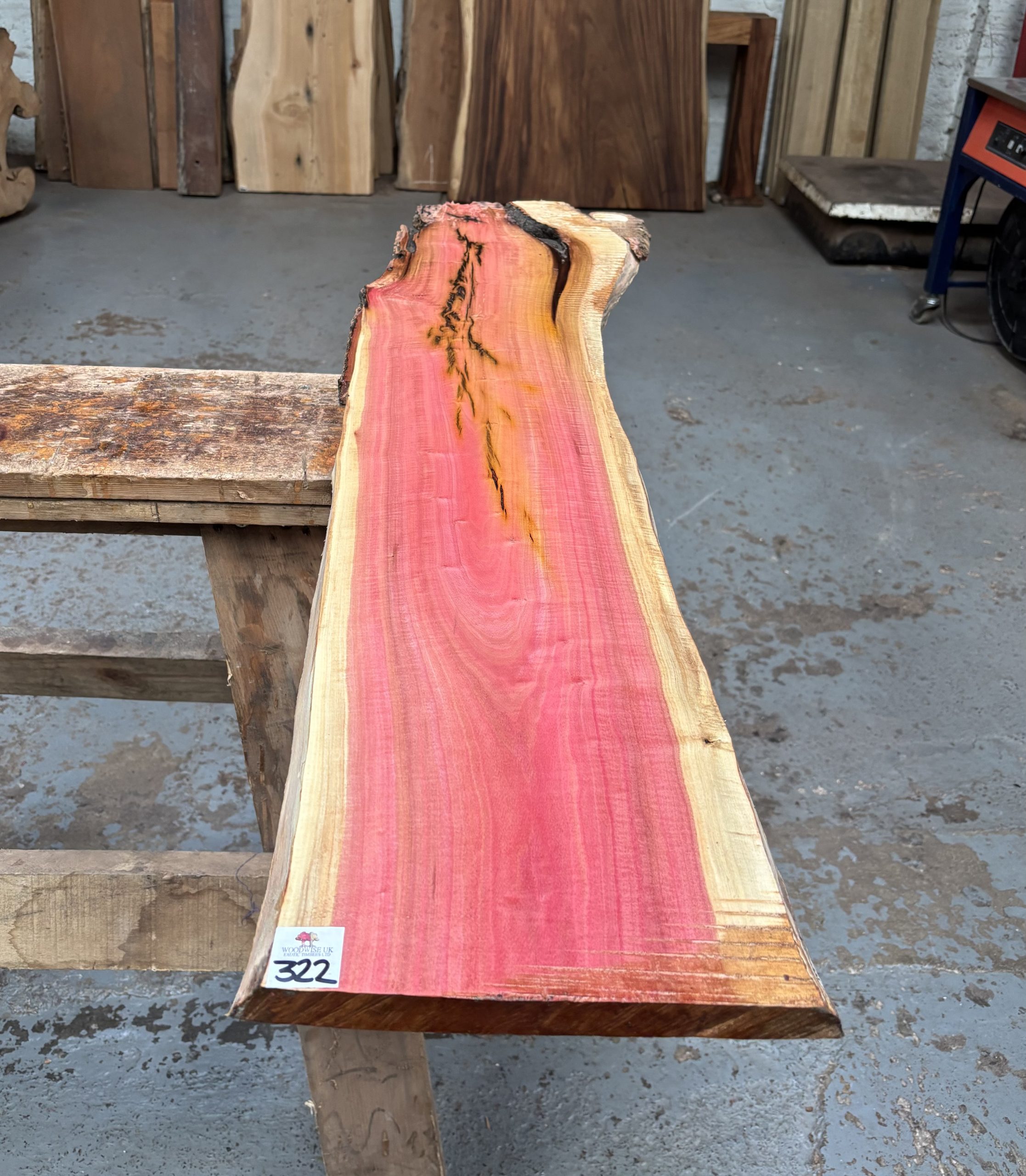 Pink Ivory 1200x230-280x22 mm