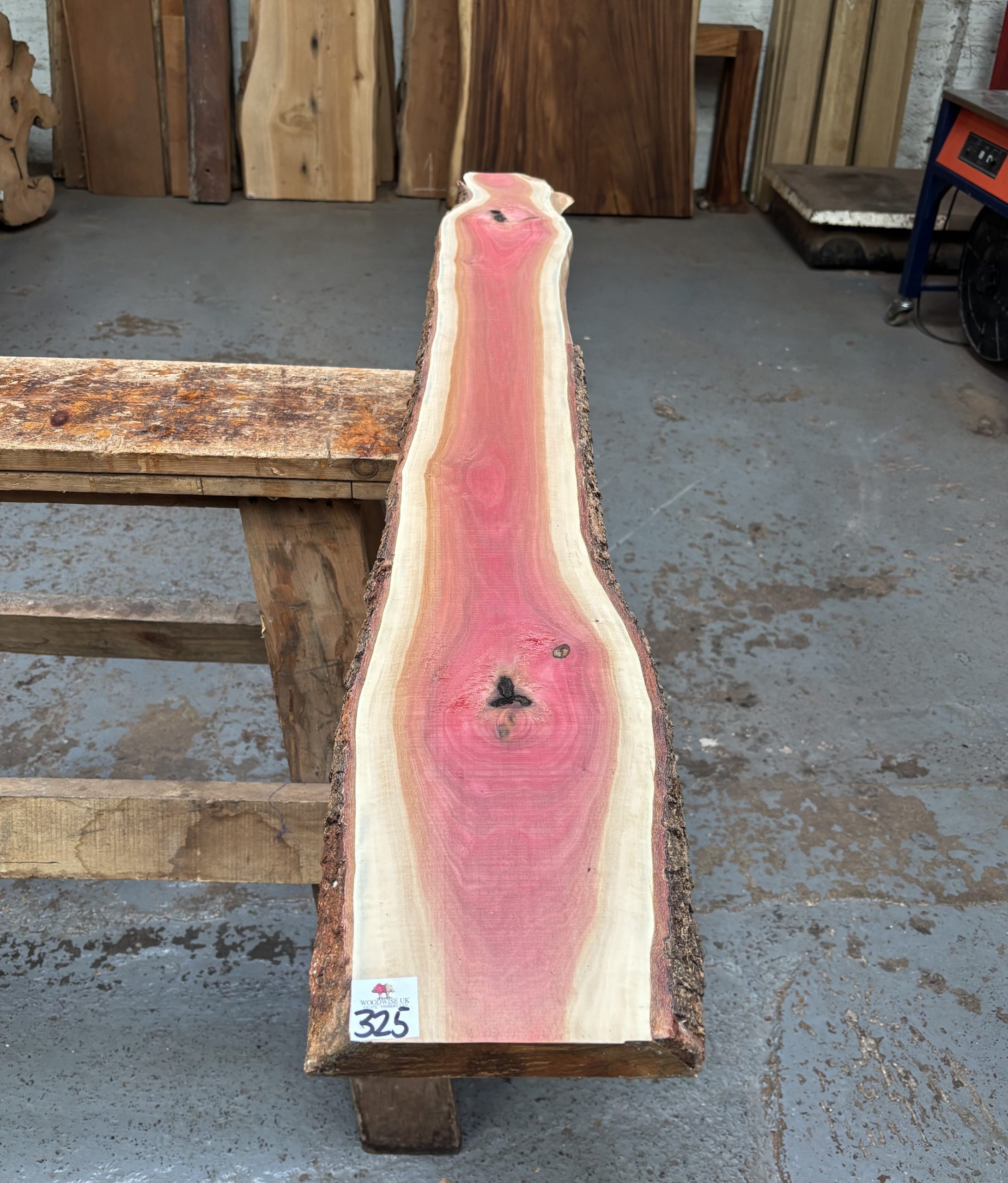 Pink Ivory 1550x160-200x25 mm