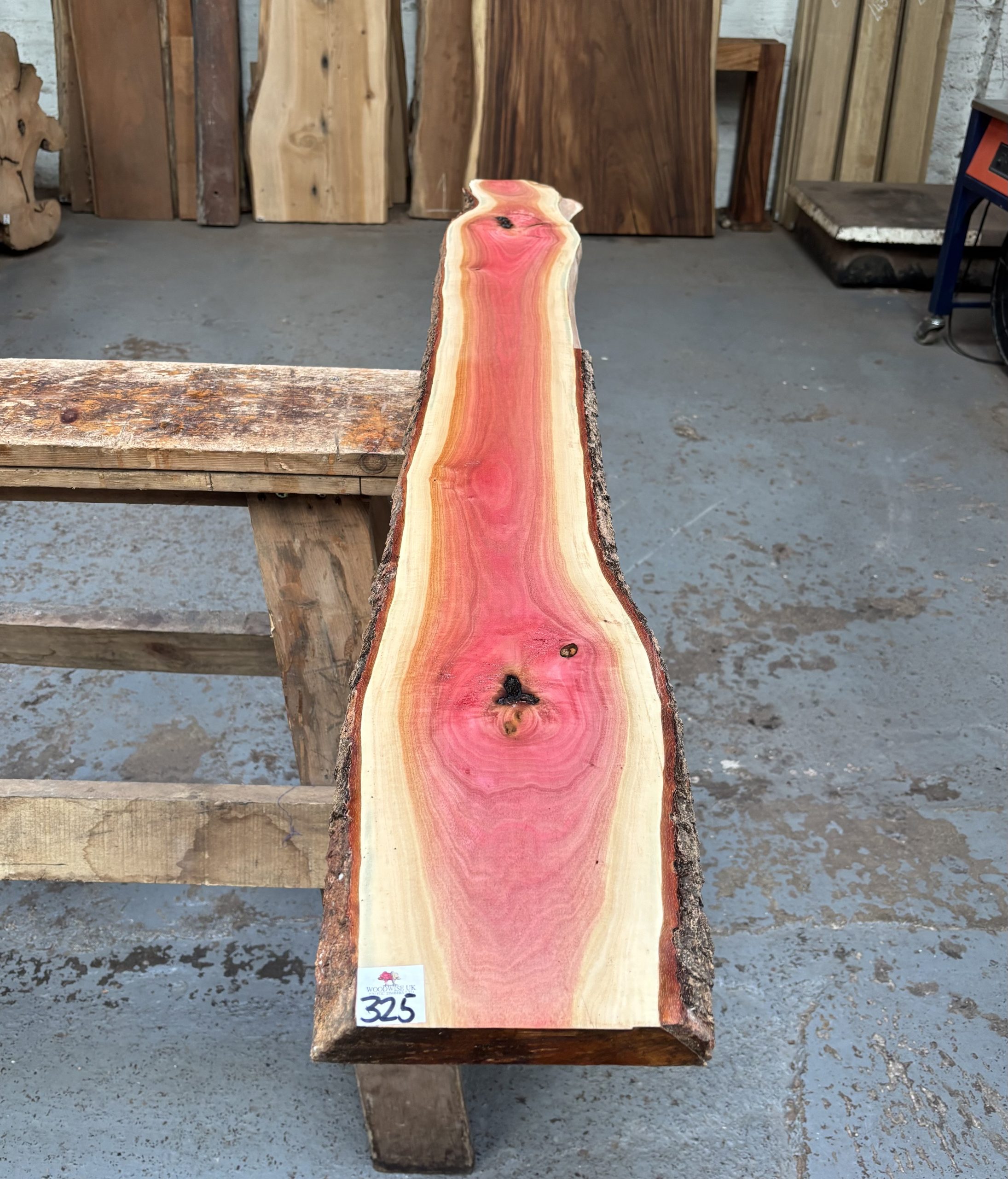 Pink Ivory 1550x160-200x25 mm