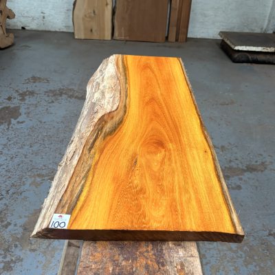 Osage Orange 935x350x31 mm
