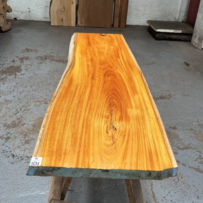 Osage Orange 1290x380-430x36 mm