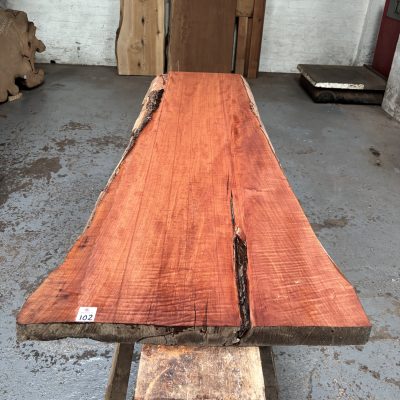 Pearwood 1520x460-560x46 mm