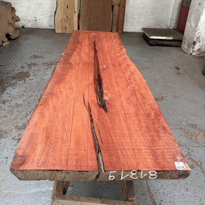 Pearwood 1600x480-600x43 mm