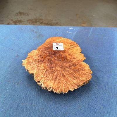 Red Mallee Burl 7x6x2 Inches