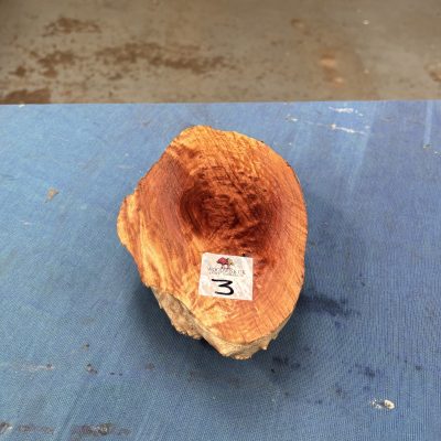 Red Mallee Burl 7x4.5x2.5 Inches