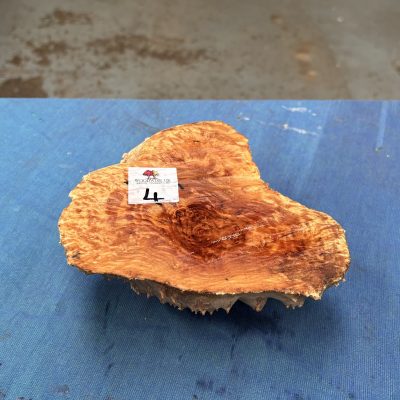 Red Mallee Burl 5.5x6x3 Inches