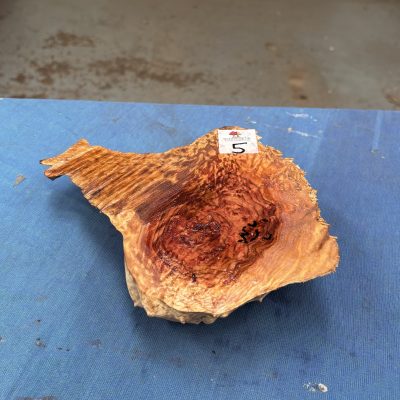 Red Mallee Burl 6.5x6x2.25 Inches